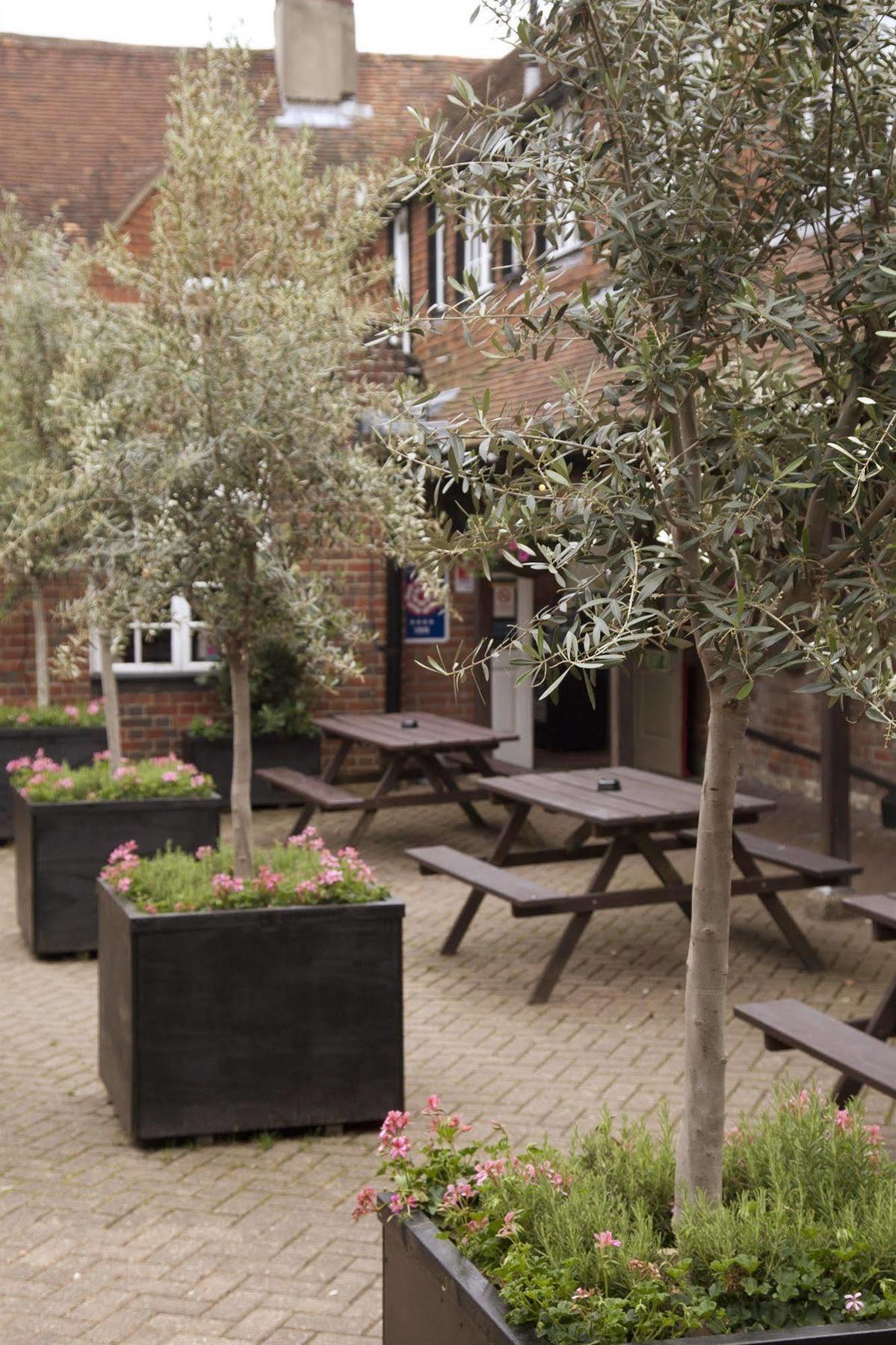 The Dog & Bear Hotel Lenham Exterior foto